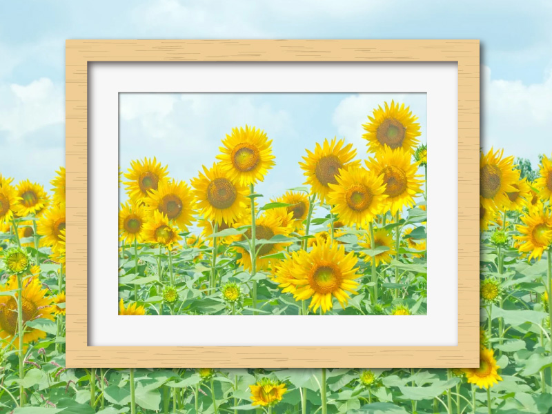 AR写真を作ろう